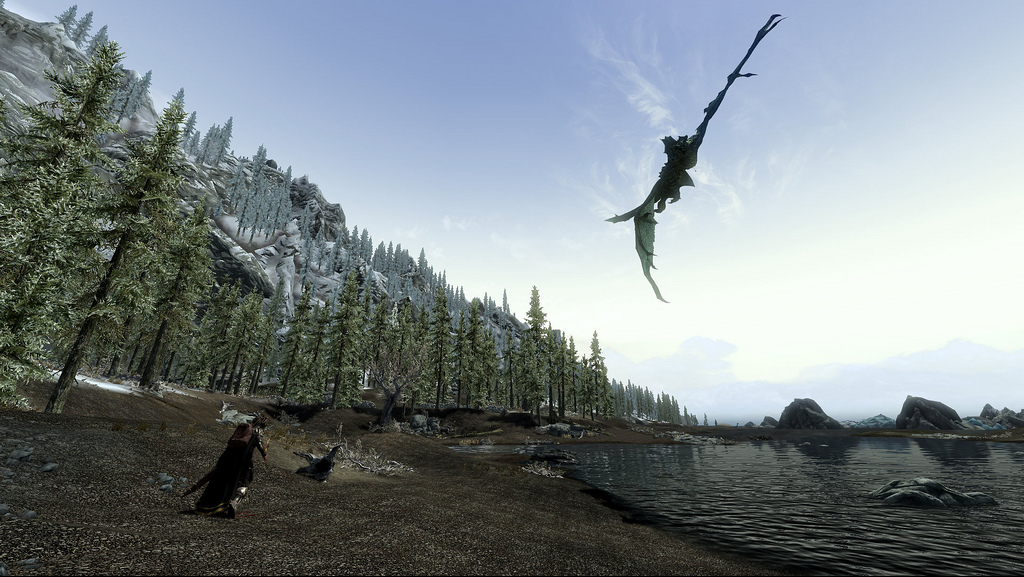 Dragons fly in Skyrim's sky!